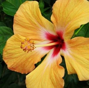 Meet your Posher, Sabrina